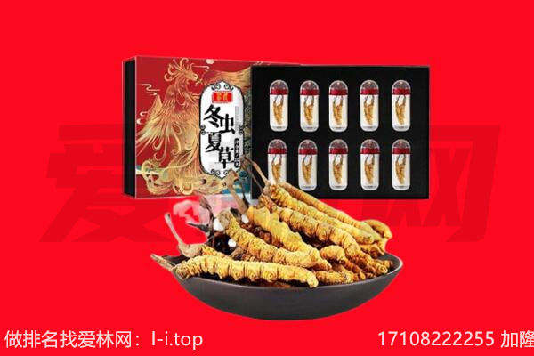 剑阁县回收虫草.jpg